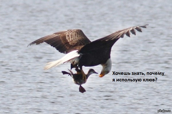   :  <a href="http://pikabu.ru/story/_3163212">http://pikabu.ru/story/_3163212</a> 