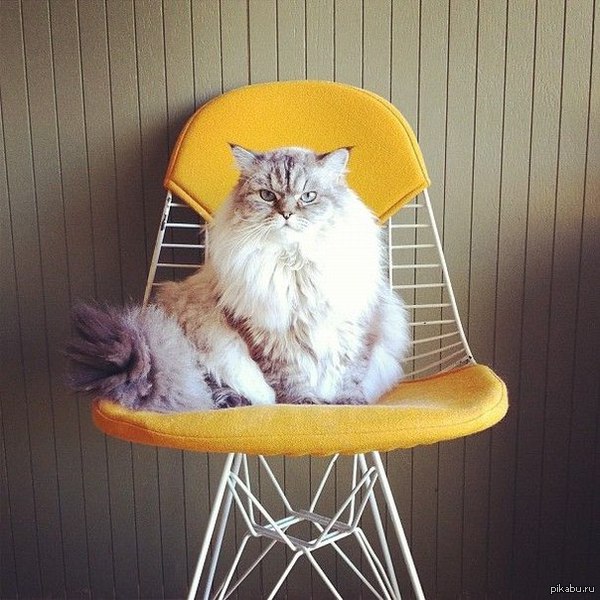 ������� ���� � ������ ��� � ����� ����