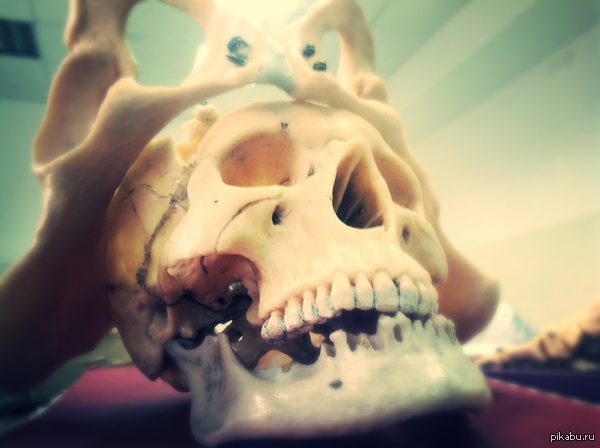 ���� �� ������ � ����, �� � ���� ����������� ��������� ����� ������� ���-����