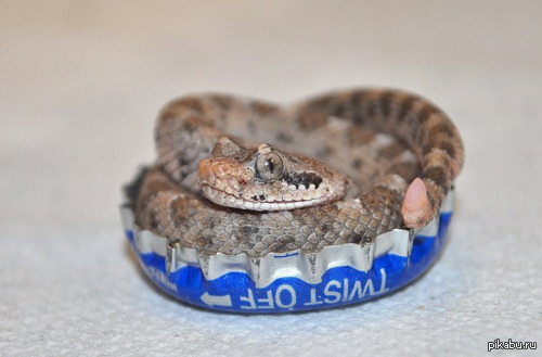 ������������� ����������� ���������� ������ � ������ �� ��� ����.