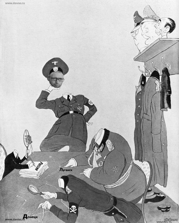 Новая голова.