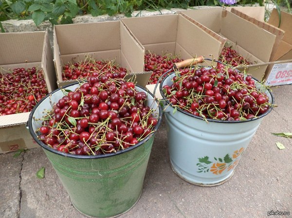 И пусть текут слюнки!