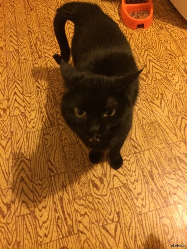 ���-�������