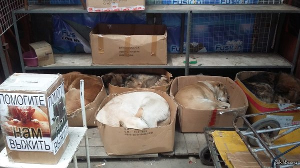 ���� ������� � ����� :)