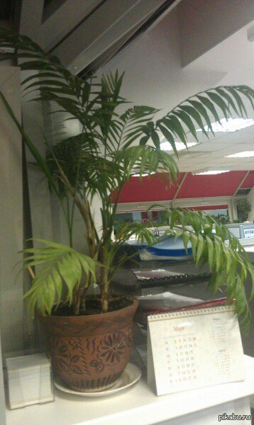 Уважаемые, помогите