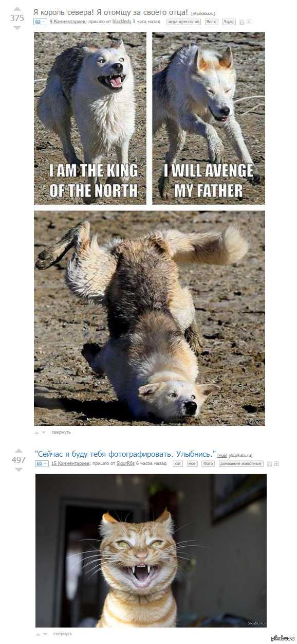 Годное совпадение, повеселило больше чем, каждый пост отдельно.