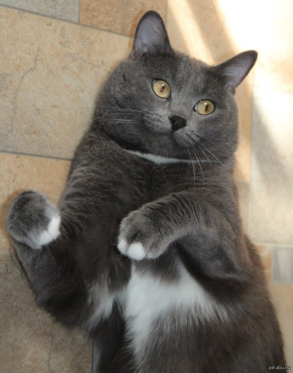 ������ :)