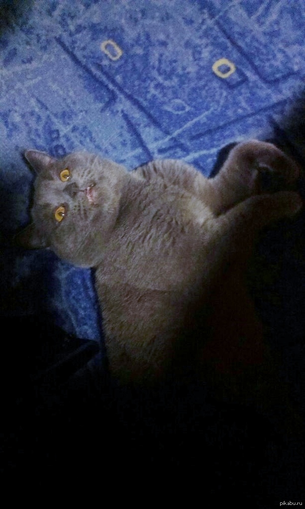 Испугался