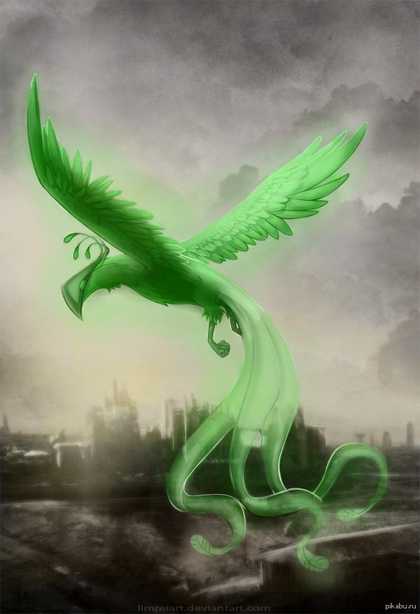 Феникс | Пикабу