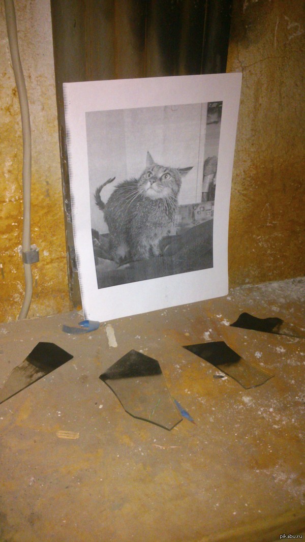 Затмение во славу сотоны!