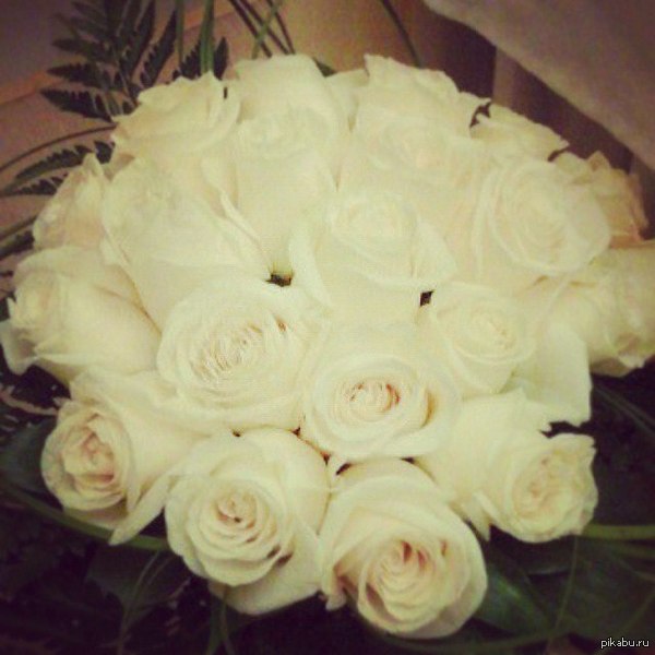 "Я вас не звал, идите на хер" ©