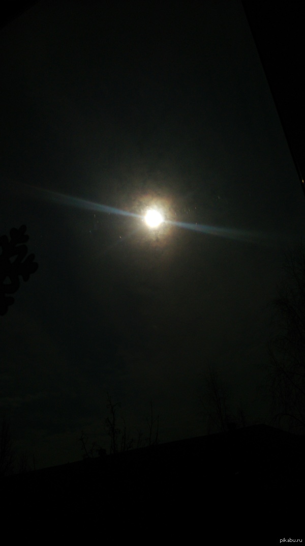 ���� ������ �� ����� ��������