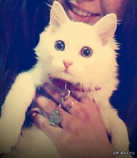 ��� � ���� ���������