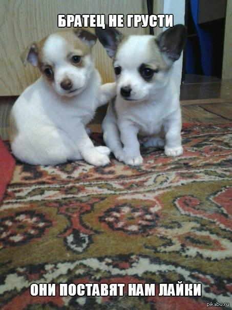 �� �����, � �����