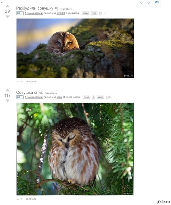 Совпадение)