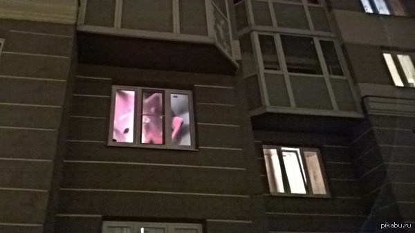 When a monster lives in someone's apartment - My, It seemed, Something in the window, Graboid, Walk, My, Saint Petersburg