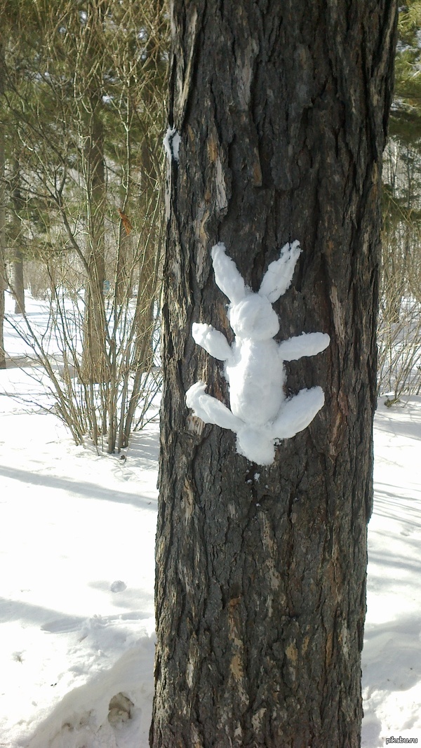 ��� ������ ����� ������ �������