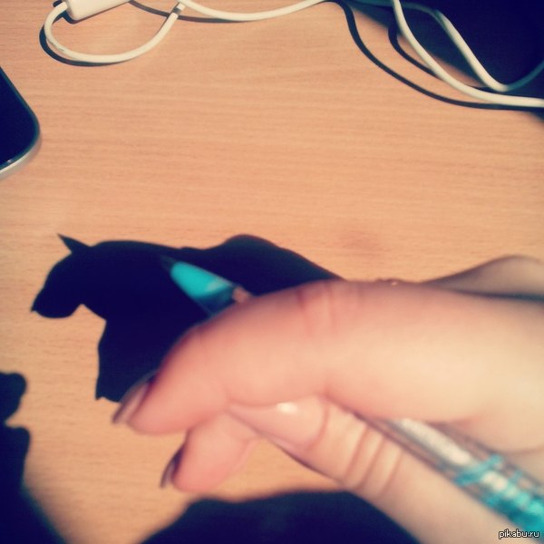 �������� ���� �� ���� ����� �����������