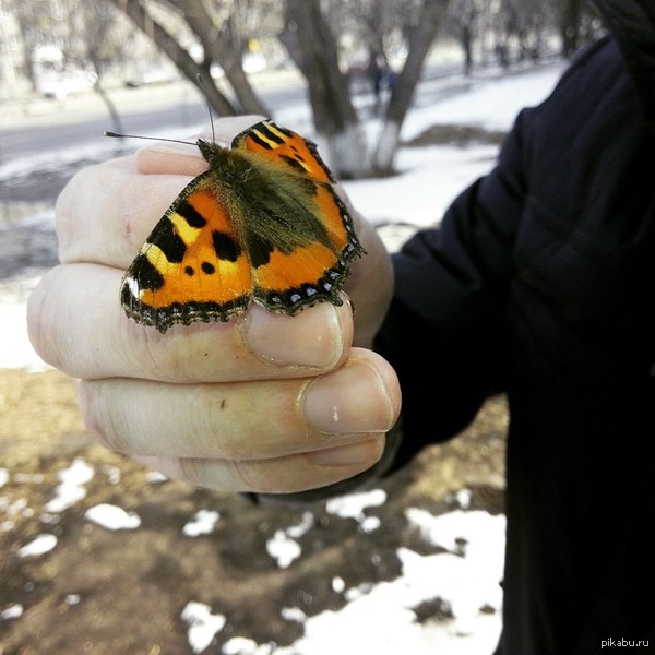 Повылазили всякие тут =)