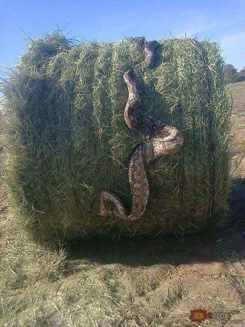 Неожиданно