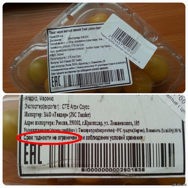 Пластмассовая жизнь или стратегический запас уровня Бог.