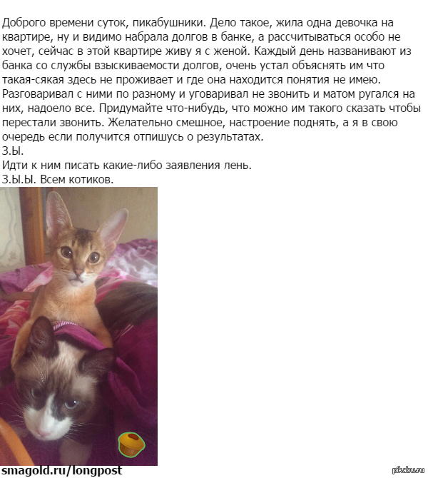 ���������� ����