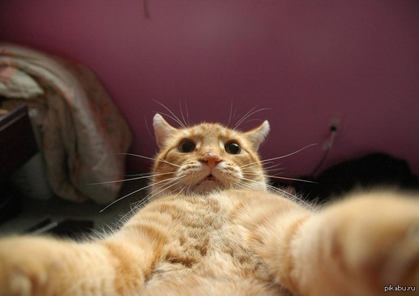 �����! ��������!!! ���� ��������, �������! ����� �� �����, ����� ������ �����-�� ������� ���, �� � ������, � �� ���� ��� �������....