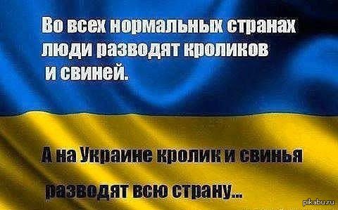 �������� � ������