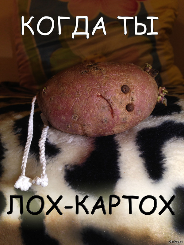 лох-картох