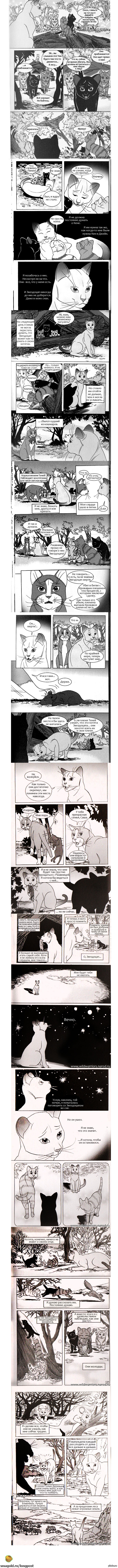 18-я часть Котов-воителей