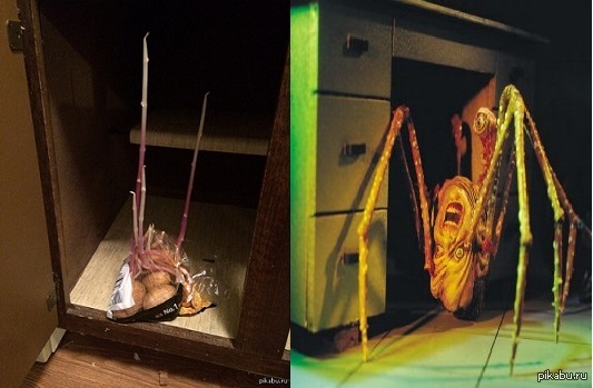 ����� ��� �������� �������������� ����