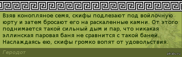    " " ()