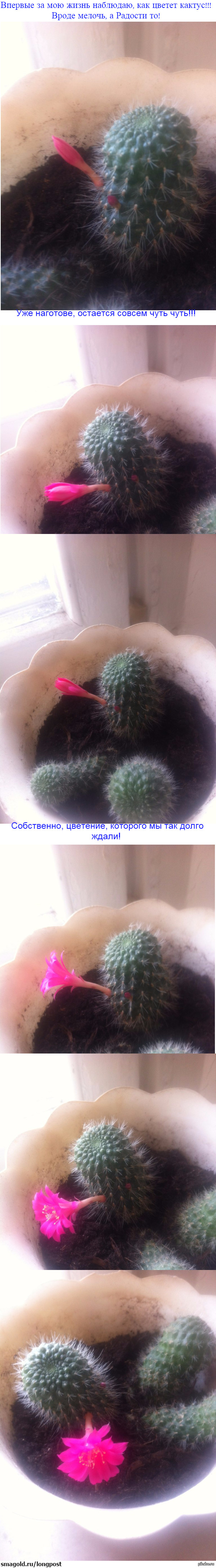 ����� ������, ������� ������!