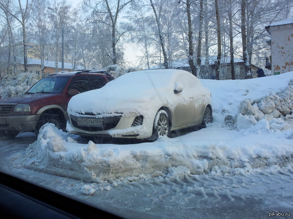 Медвежья услуга.