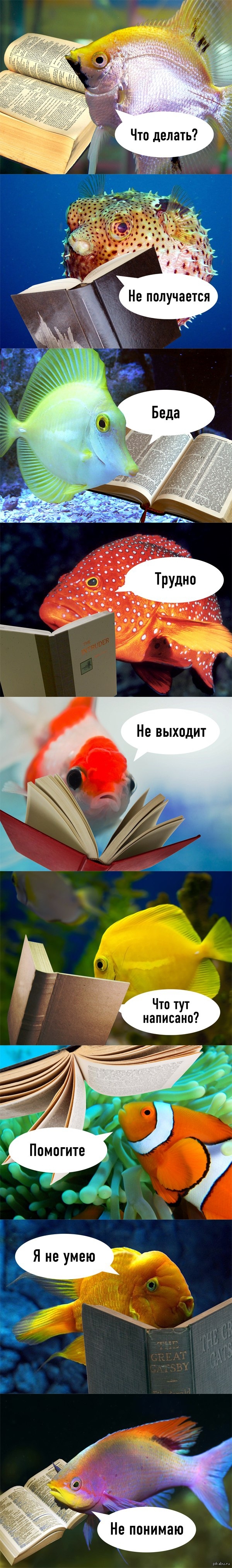 с днем рыбы мем. Смотреть фото с днем рыбы мем. Смотреть картинку с днем рыбы мем. Картинка про с днем рыбы мем. Фото с днем рыбы мем