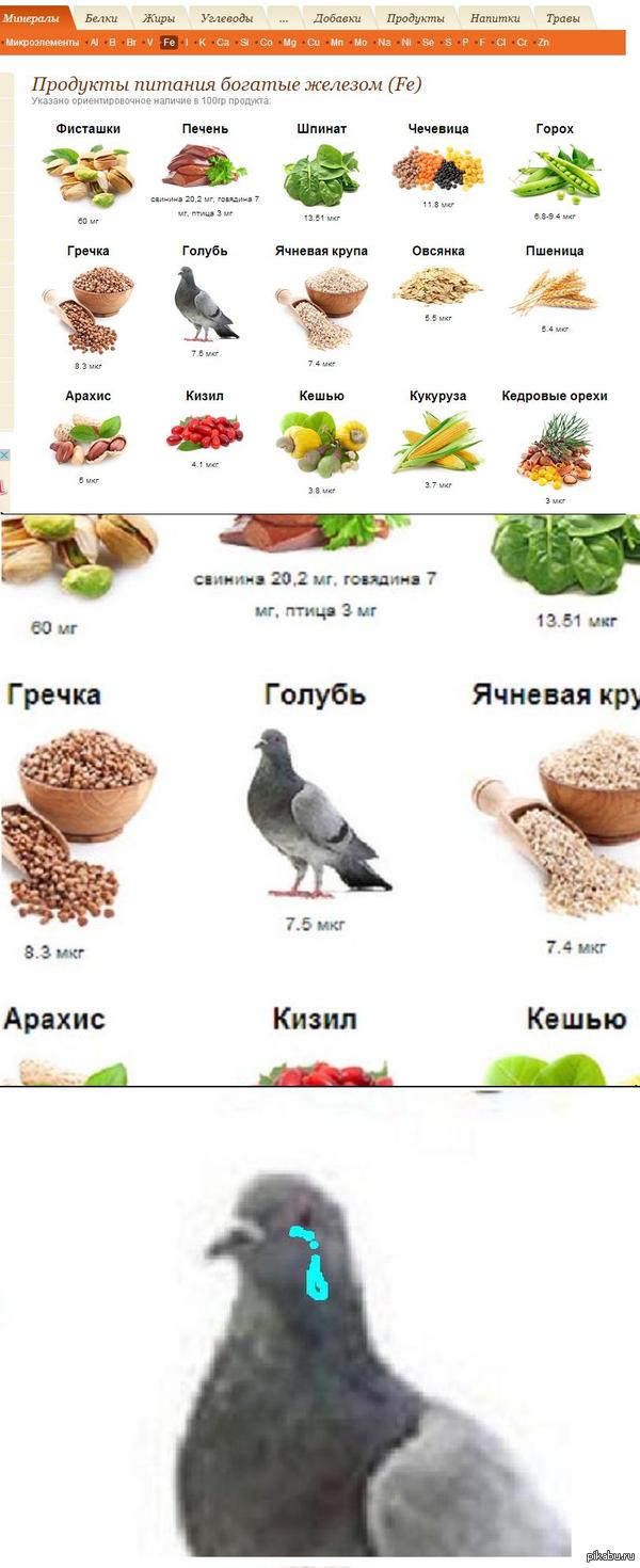 Голуби не только вкусные,но и полезные | Пикабу