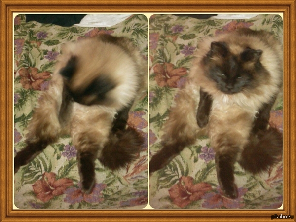 ������ ����? � � �� ����!