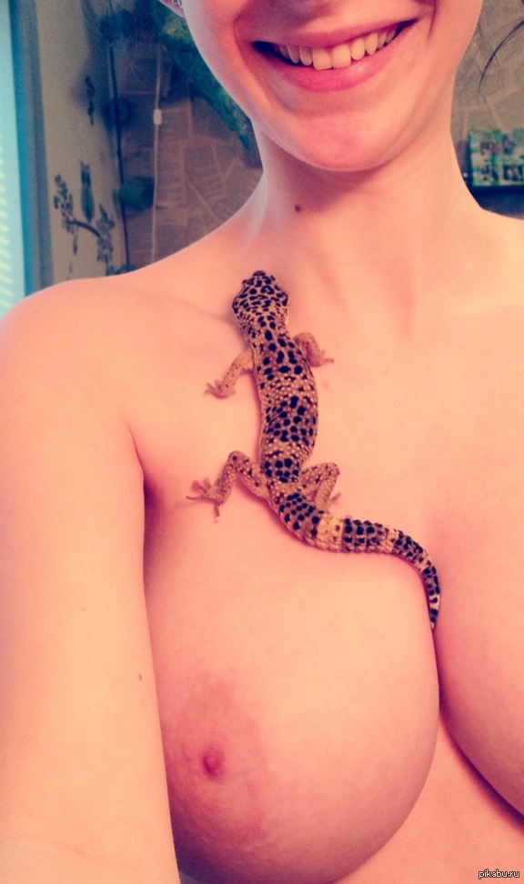 Lizard - NSFW, Breast, Boobs