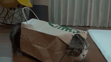 &quot;  !?&quot; 