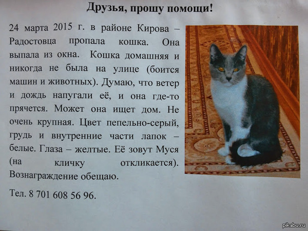 ������, ������� �����!