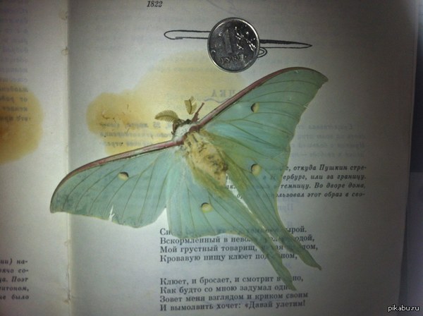 �� ������� ������ ����� � ���������� ������ �����, ����� ������� ���������� ��� ���...