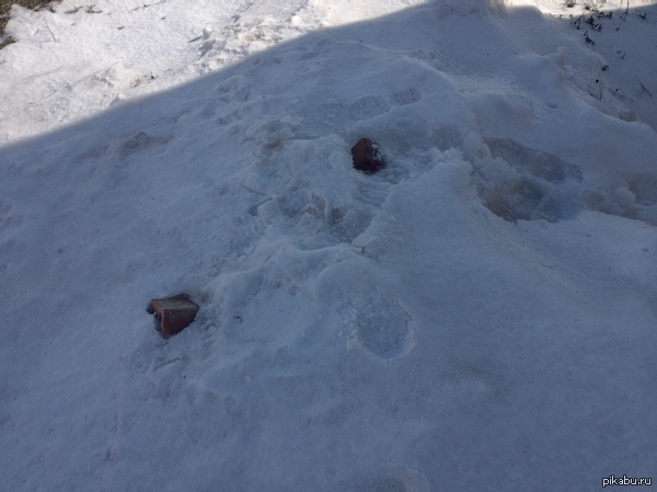 ��, �����, �� ��� ����� ���������� ������ �������...