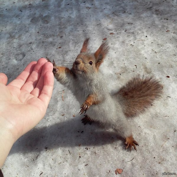 ����� ����;)