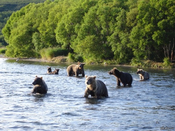 � ������� ������� � ���������� �� ������, ��� ��� ���, ����� ���� �������! ���� �������� ������.