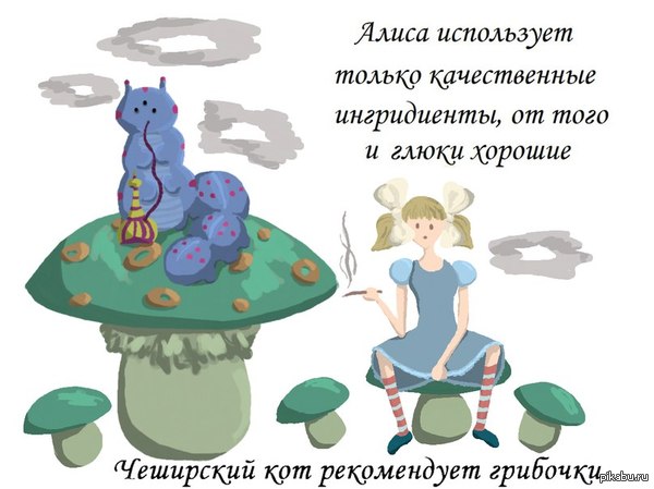 Чеширский кот рекомендует