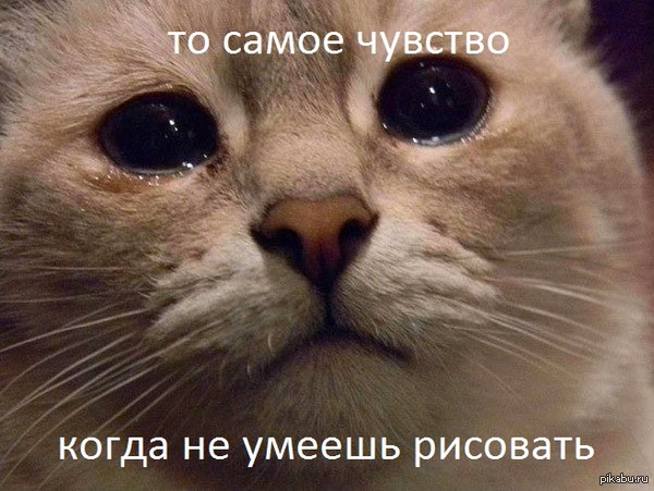 �� ������