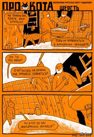 Человек и кот.