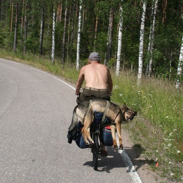 ����, ��� �����.