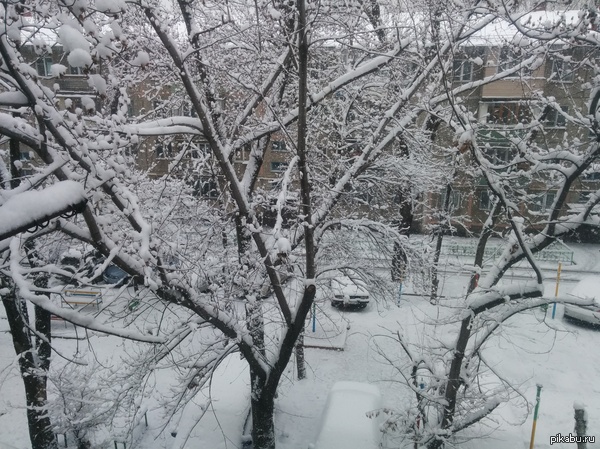 "Доброе утро!"