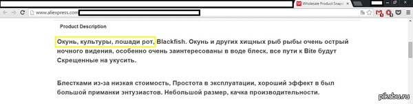 Так вот где берут свои тексты рэперы!